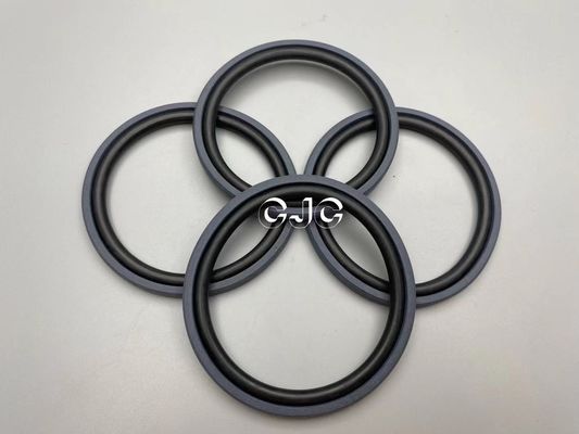 Doppia azione o anello Oil Seal 700-80-62350 per l'escavatore di SPGO
