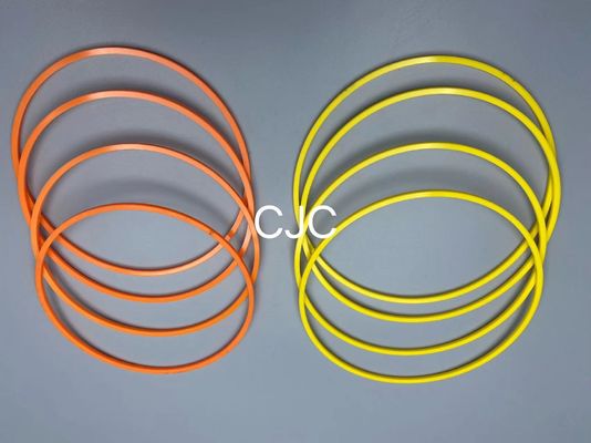 N4W che sopporta l'escavatore Seal Kit Hydraulic Backup Ring 22000139 della guarnizione