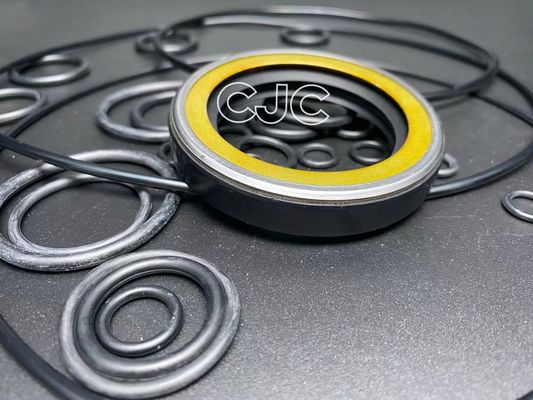 Anti riva impermeabile del corredo 30-90 della guarnizione del motore di viaggio di slittamento per l'escavatore